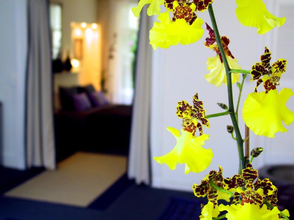 Palace B&B Amsterdam Pokoj fotografie